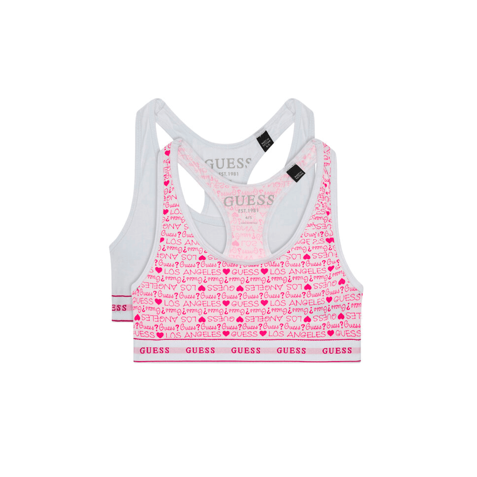 SET BUSTIERE GUESS