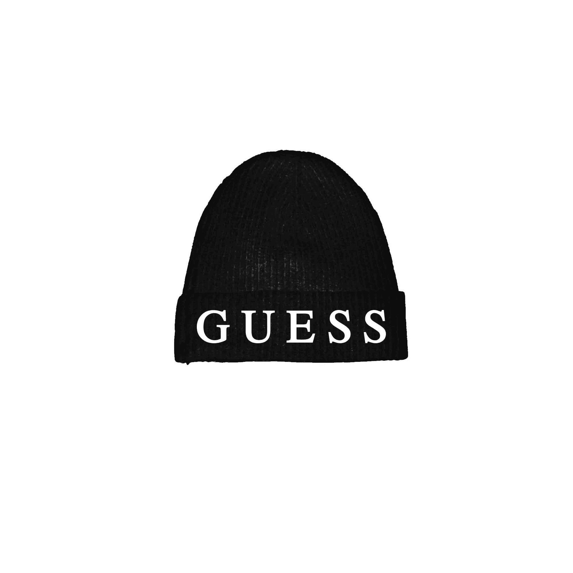 FES GUESS